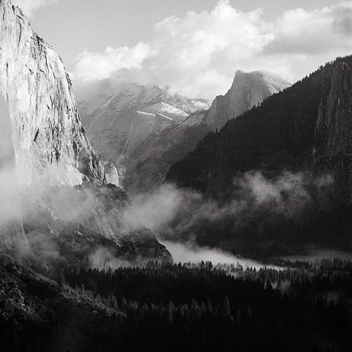 Yosemite Valley Fog